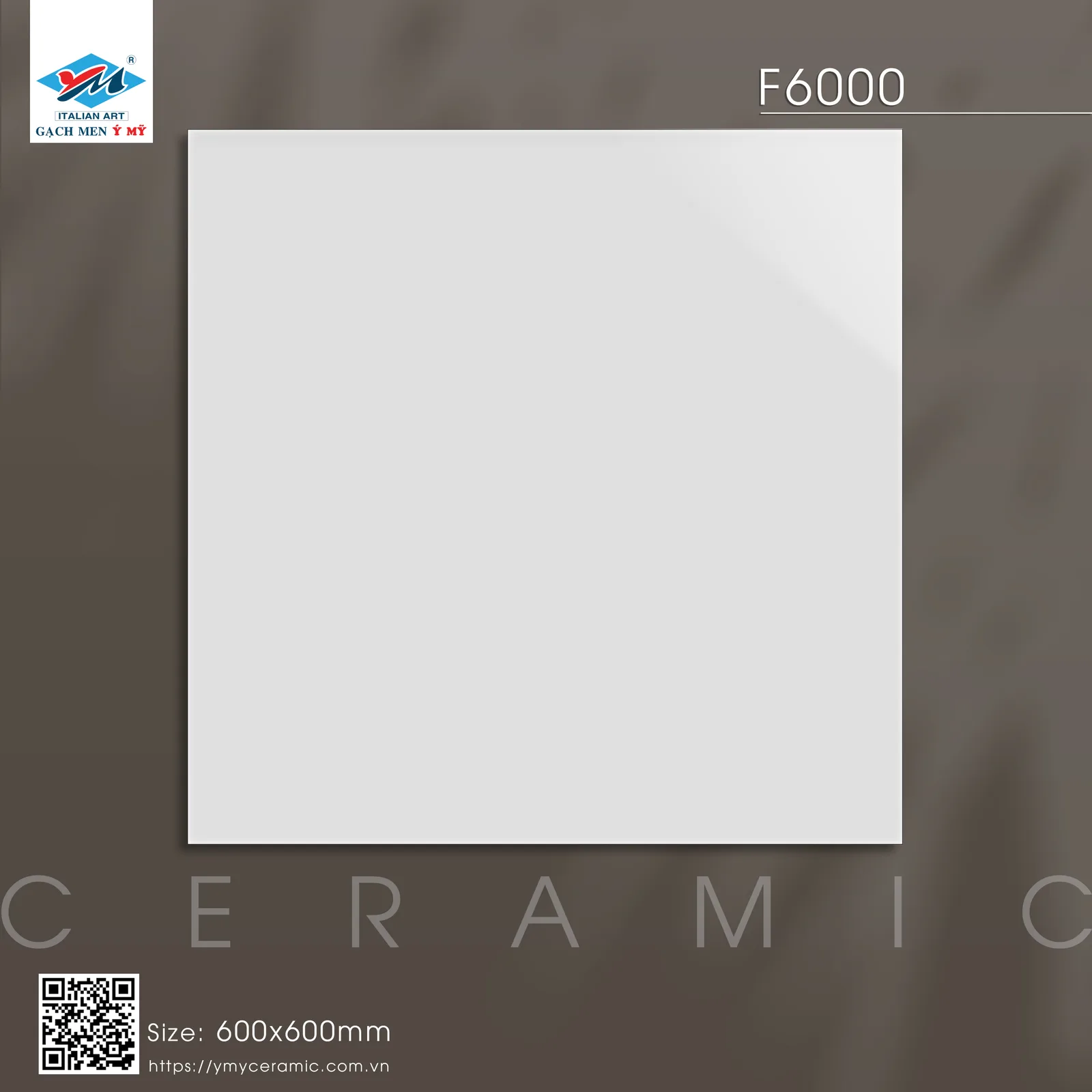 Gạch Ý Mỹ F6000