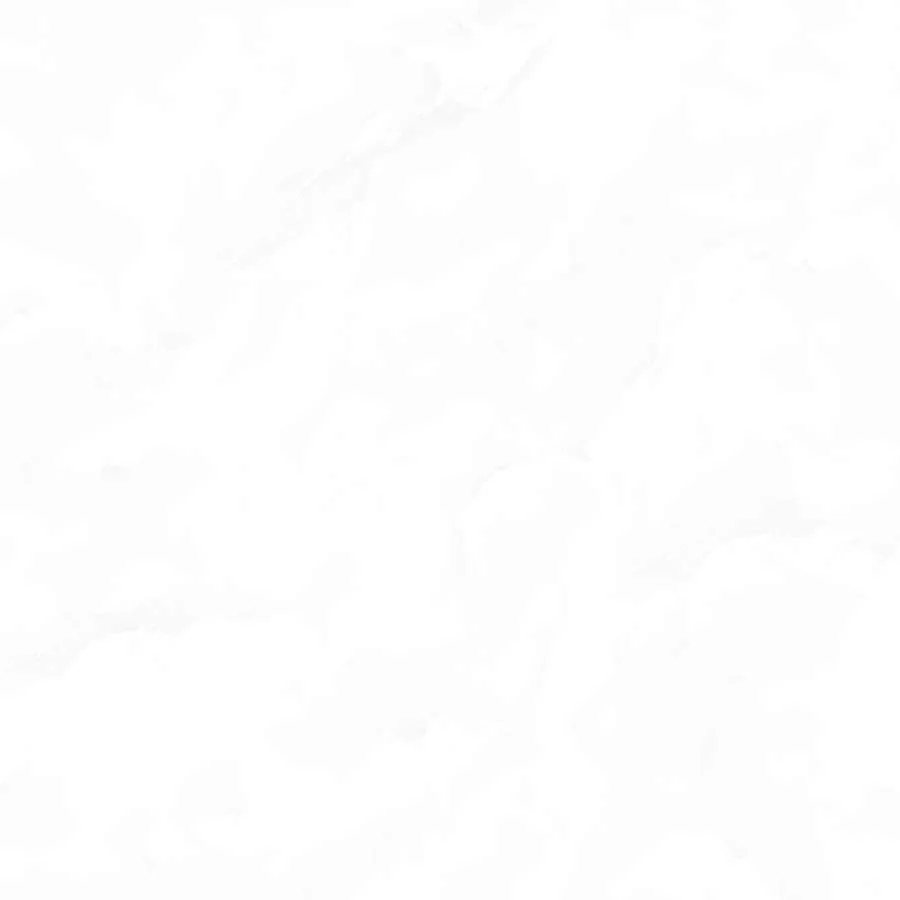 Gạch Ý Mỹ EN69009R