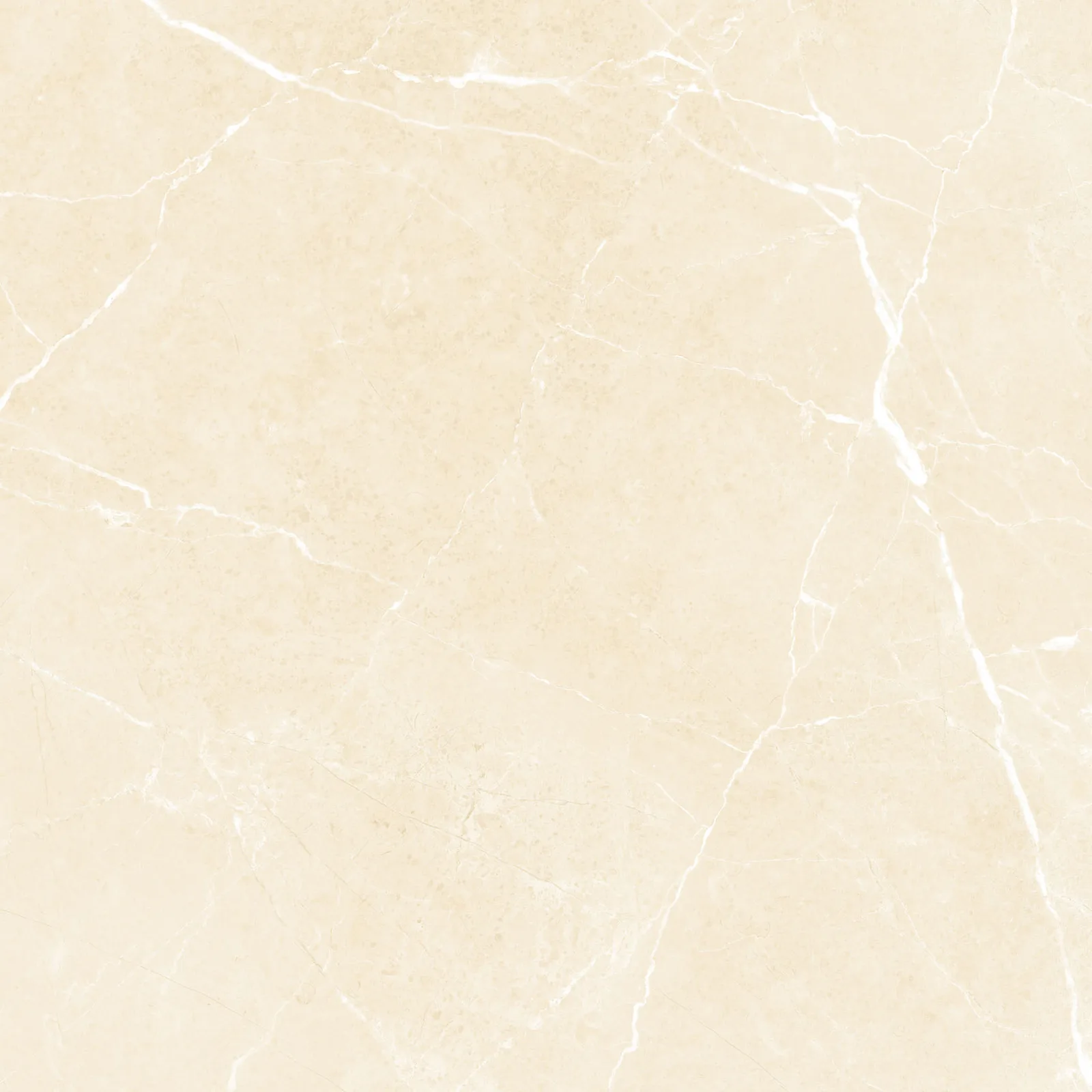 Gạch Ý Mỹ P65102R