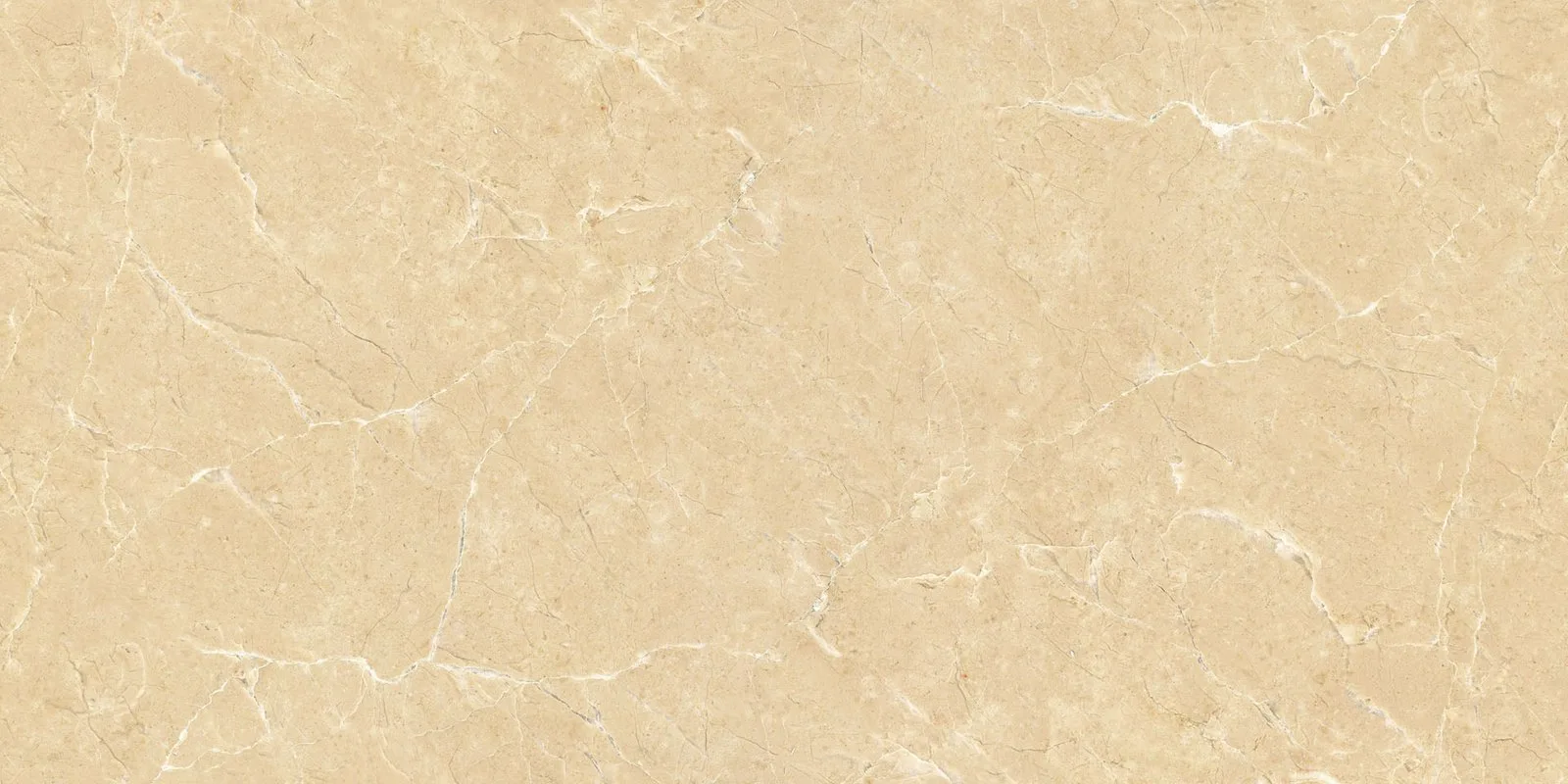 Gạch Ý Mỹ P6128009