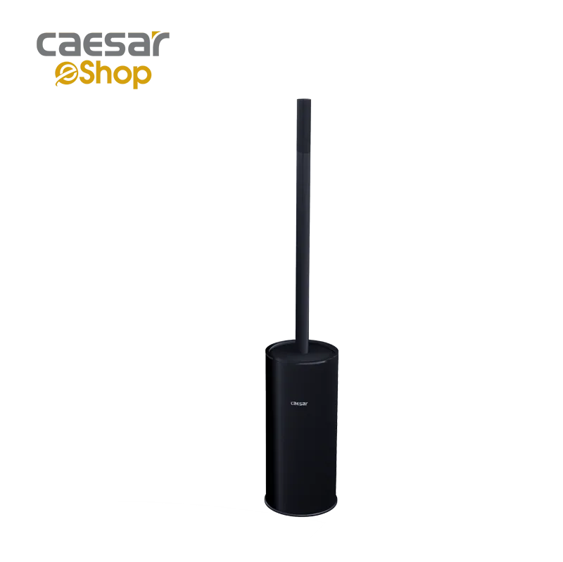 Cọ vệ sinh bàn cầu Q6308B Caesar — ảnh sản phẩm 1